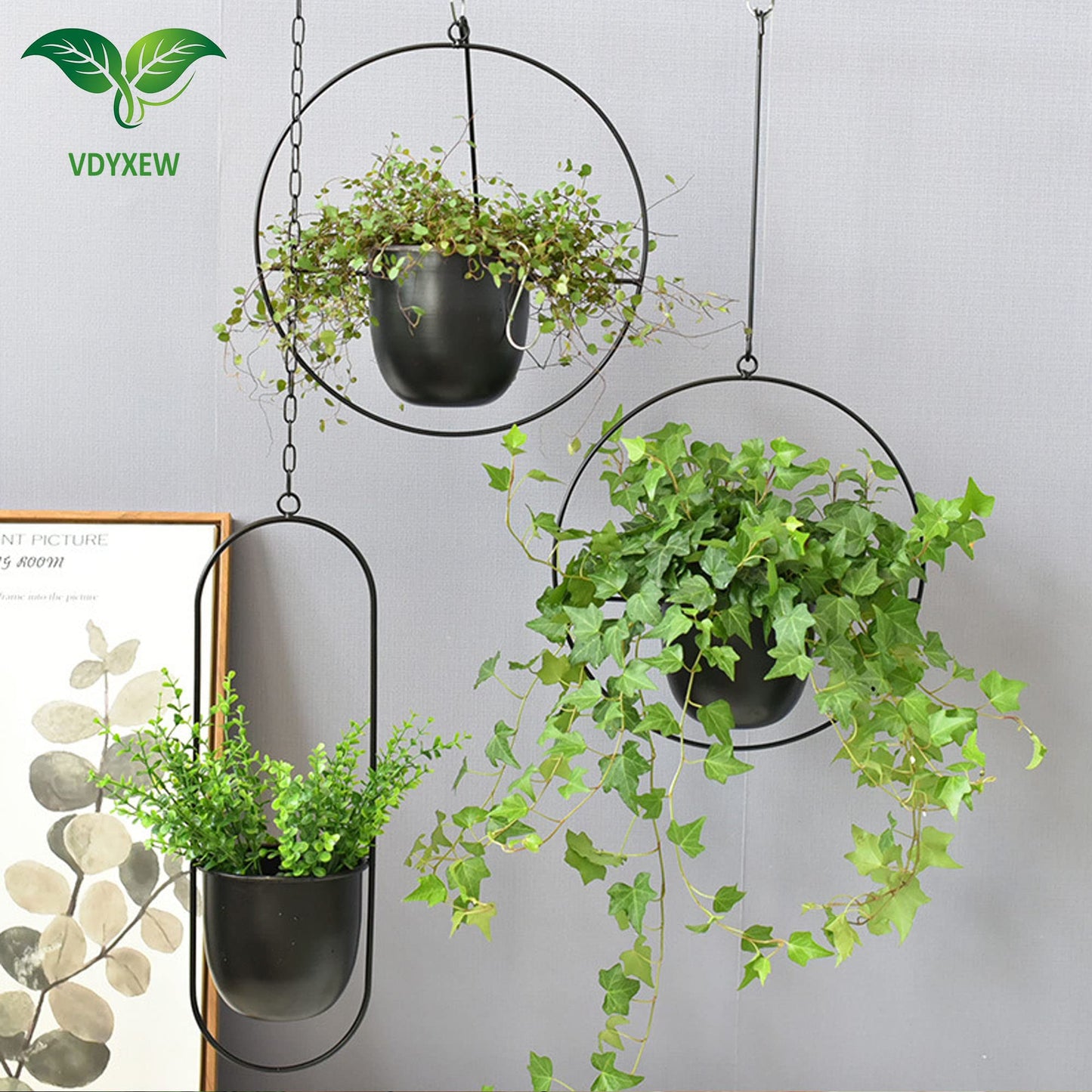 VDYXEW Maceta de Metal para Colgar, maceteros Colgantes para Plantas Interiores y Exteriores, con Gancho de Metal, macetero Colgante para decoración del hogar, Color Negro (2 Unidades)