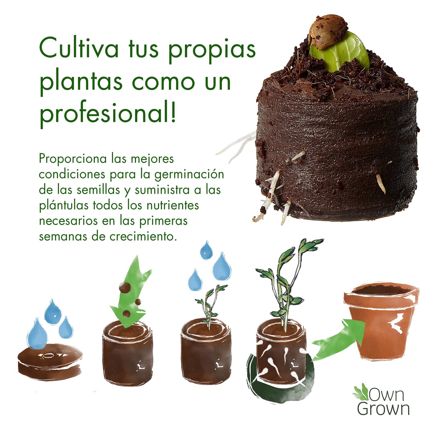 Sustrato deshidratado de fibra de coco con nutrientes – 40 unidades para plantas, macetas, huerto urbano y semilleros, sin turba – Tierra de coco OwnGrown