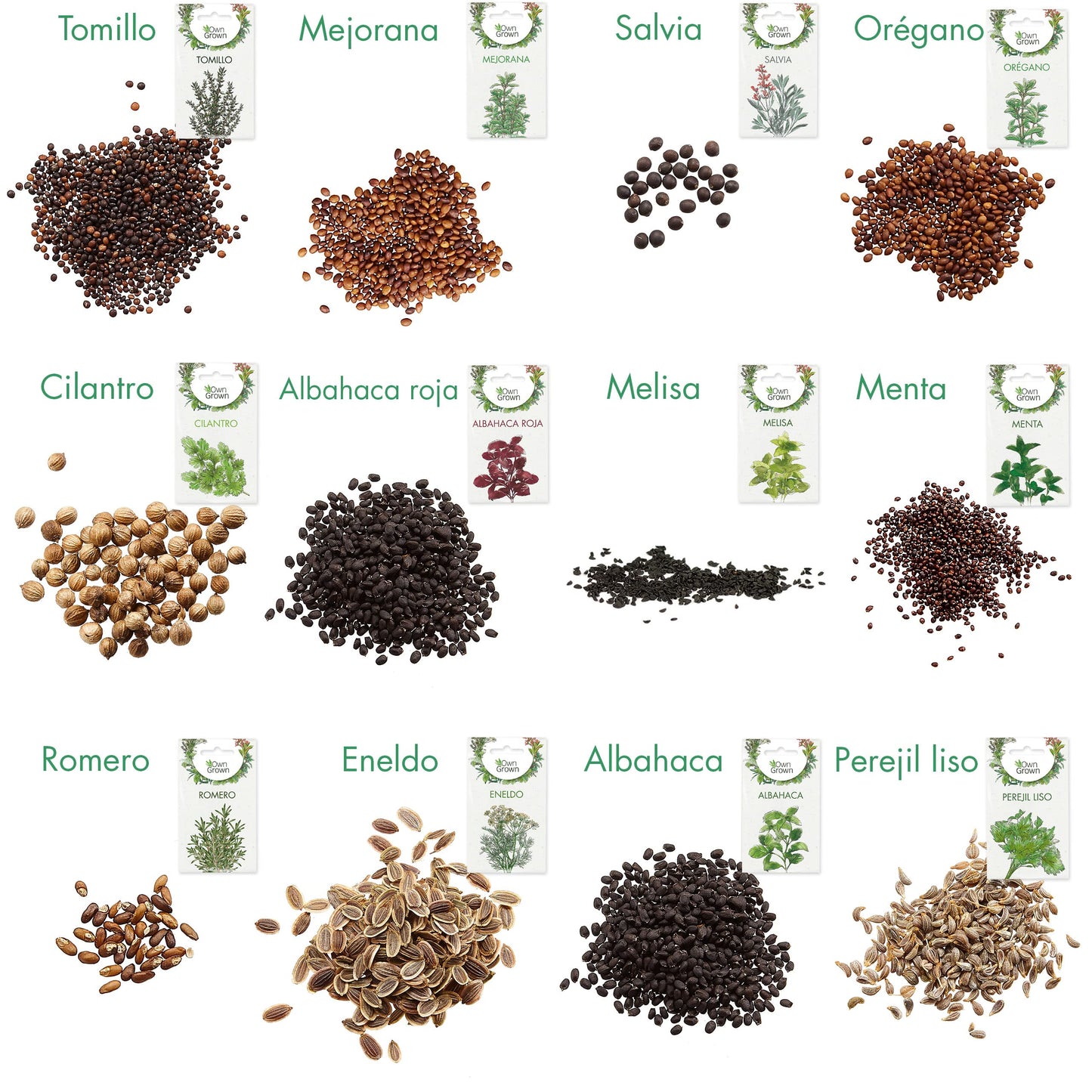 Kit Semillas Hierbas: 12 Variedades de Hierbas Aromaticas para plantar – Semillas Huerto – Albahaca, Tomillo, Cilantro – Plantas Aromaticas – OwnGrown
